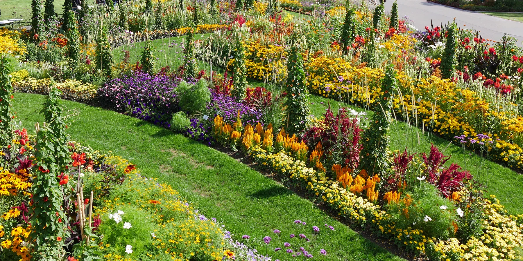 Sublimez votre jardin avec Bakker